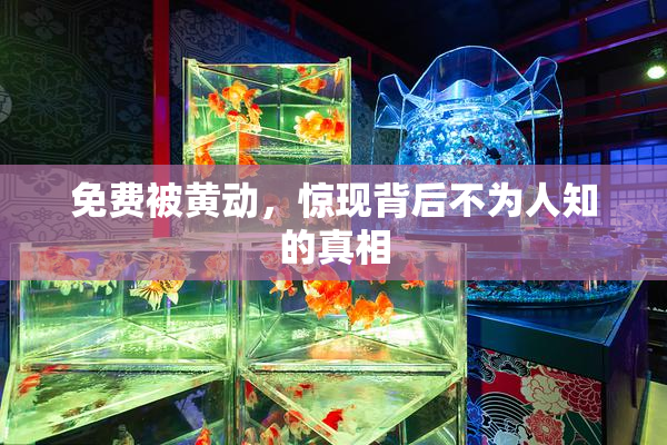 免费被黄动，惊现背后不为人知的真相