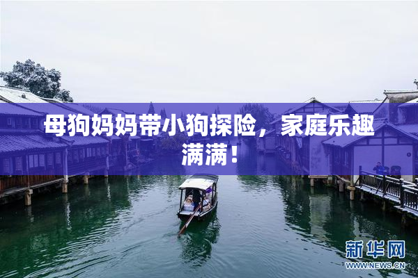 母狗妈妈带小狗探险，家庭乐趣满满！