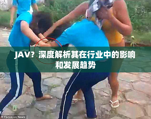 JAV？深度解析其在行业中的影响和发展趋势