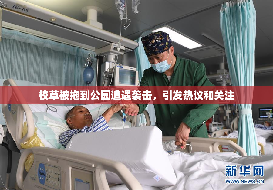校草被拖到公园遭遇袭击，引发热议和关注