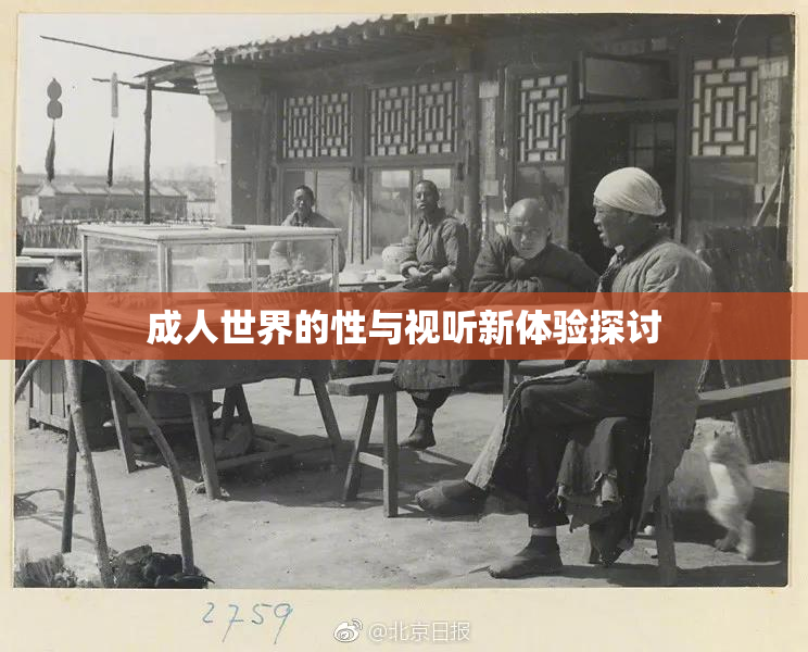 成人世界的性与视听新体验探讨