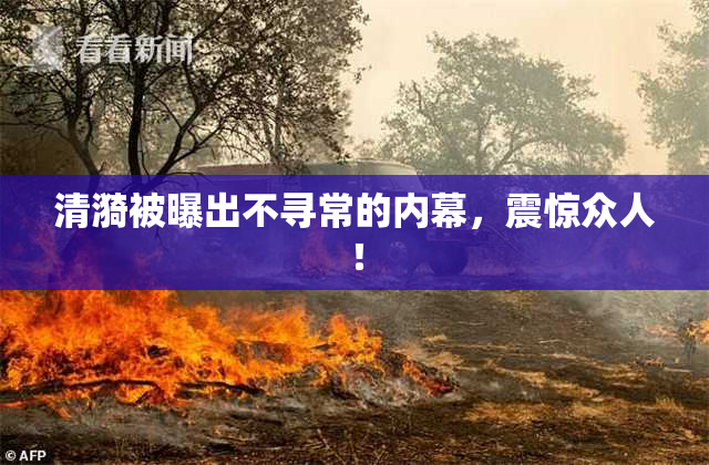 清漪被曝出不寻常的内幕，震惊众人！