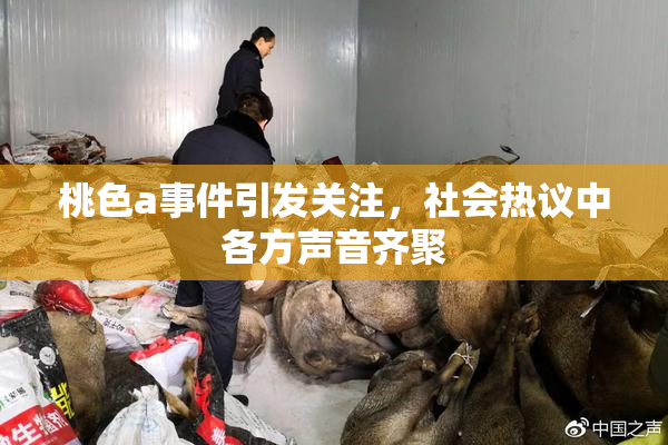 桃色a事件引发关注，社会热议中各方声音齐聚