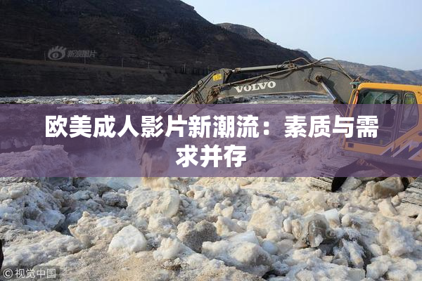 欧美成人影片新潮流：素质与需求并存