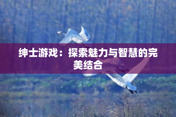 绅士游戏：探索魅力与智慧的完美结合