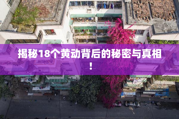揭秘18个黄动背后的秘密与真相！