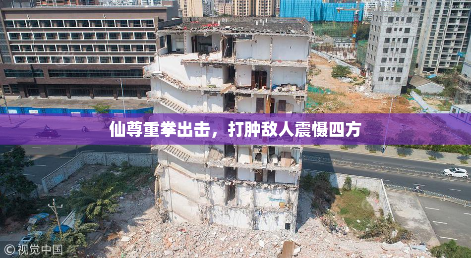 仙尊重拳出击，打肿敌人震慑四方
