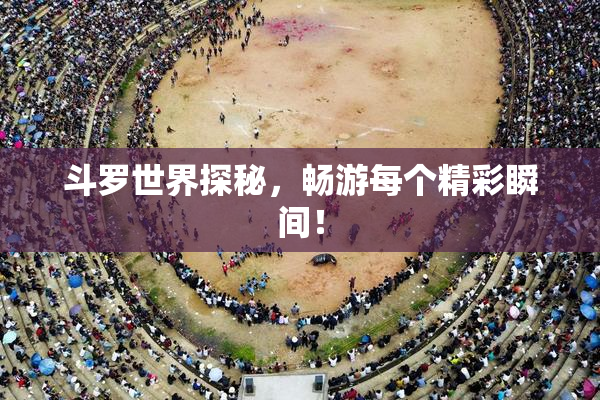 斗罗世界探秘，畅游每个精彩瞬间！