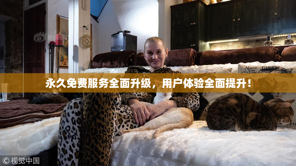 永久免费服务全面升级，用户体验全面提升！
