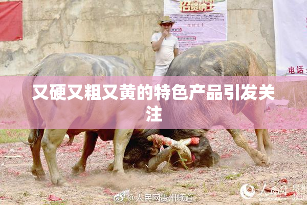又硬又粗又黄的特色产品引发关注
