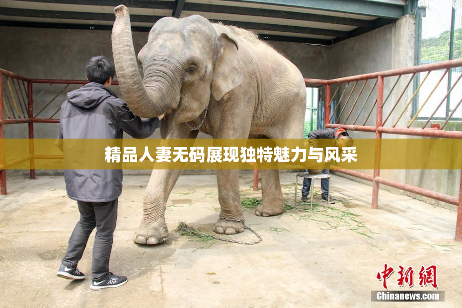 精品人妻无码展现独特魅力与风采