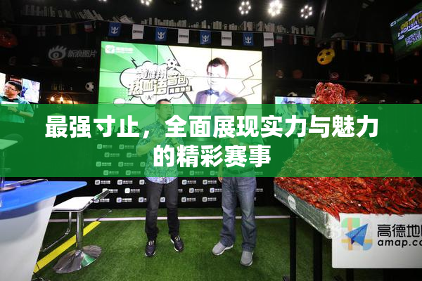 最强寸止，全面展现实力与魅力的精彩赛事
