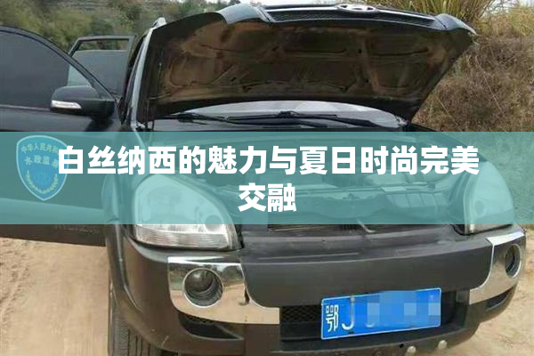 白丝纳西的魅力与夏日时尚完美交融
