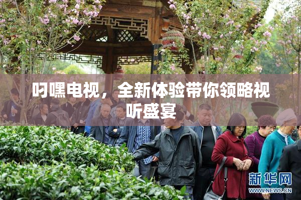 叼嘿电视，全新体验带你领略视听盛宴