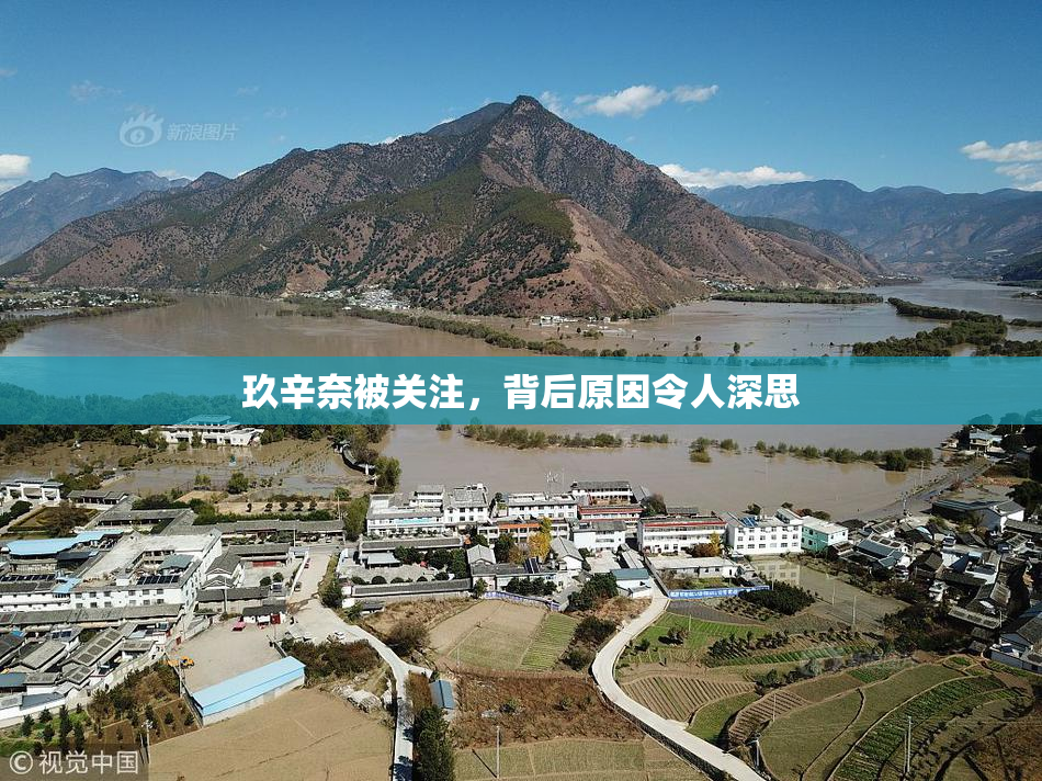 玖辛奈被关注，背后原因令人深思