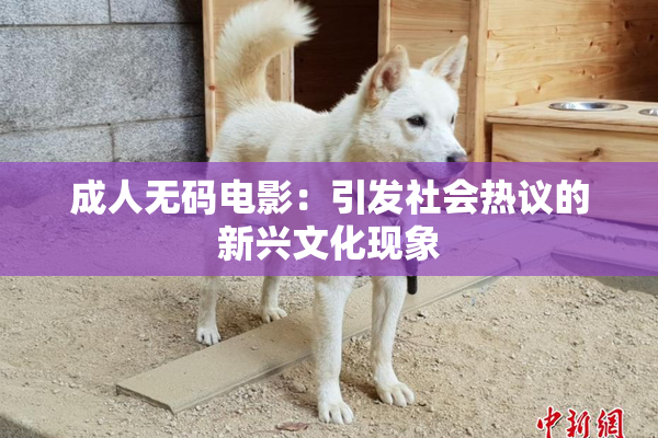 成人无码电影：引发社会热议的新兴文化现象