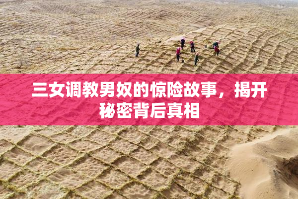 三女调教男奴的惊险故事，揭开秘密背后真相