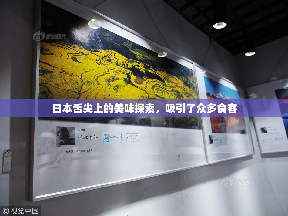 日本舌尖上的美味探索，吸引了众多食客