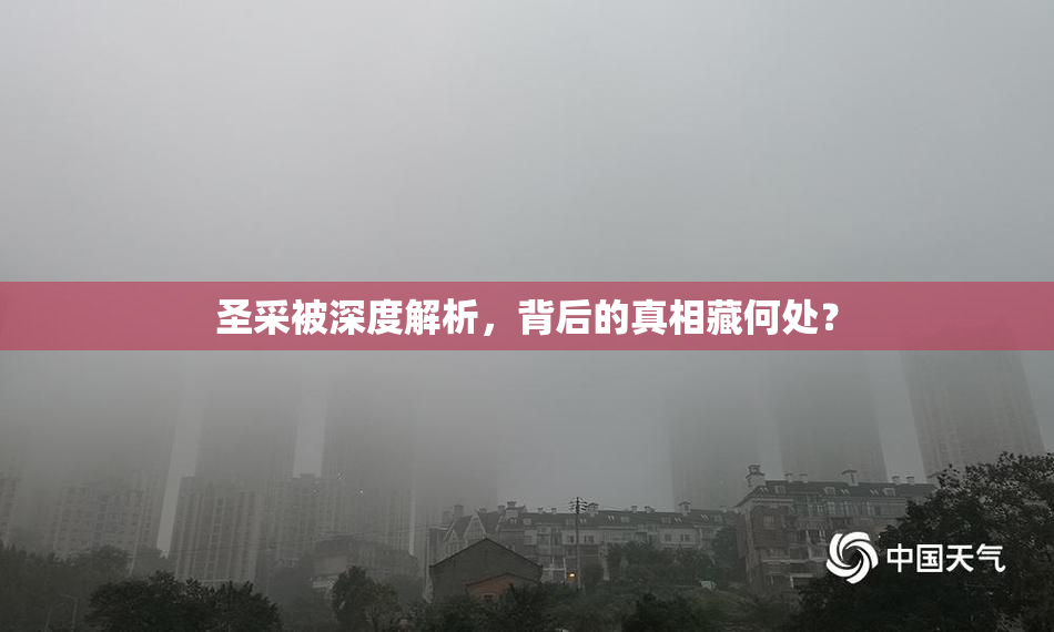 圣采被深度解析，背后的真相藏何处？
