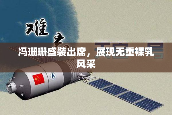 冯珊珊盛装出席，展现无重裸乳风采