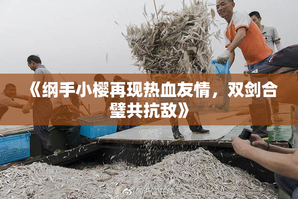 《纲手小樱再现热血友情，双剑合璧共抗敌》