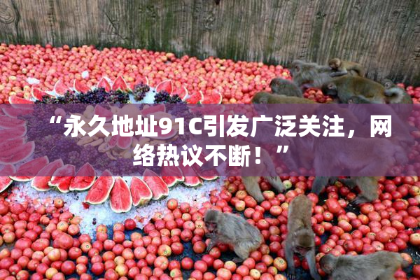 “永久地址91C引发广泛关注，网络热议不断！”