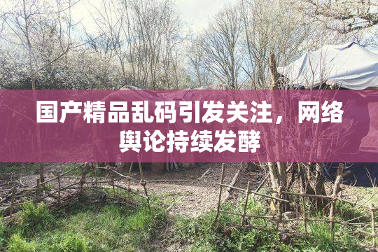 国产精品乱码引发关注，网络舆论持续发酵