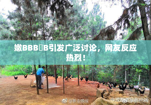 嫩BBB槡B引发广泛讨论，网友反应热烈！
