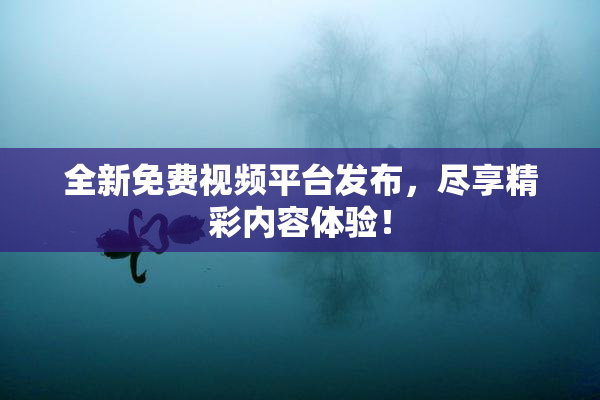 全新免费视频平台发布，尽享精彩内容体验！