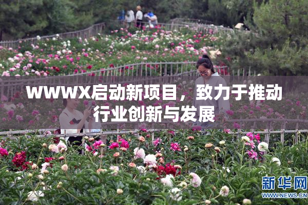 WWWX启动新项目，致力于推动行业创新与发展