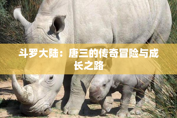 斗罗大陆：唐三的传奇冒险与成长之路