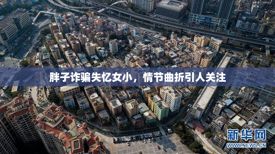 胖子诈骗失忆女小，情节曲折引人关注