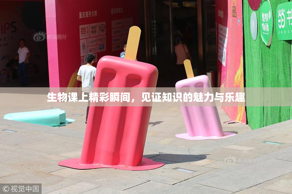 生物课上精彩瞬间，见证知识的魅力与乐趣