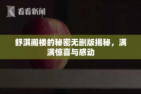 舒淇阁楼的秘密无删版揭秘，满满惊喜与感动