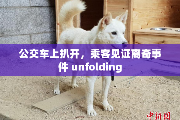 公交车上扒开，乘客见证离奇事件 unfolding