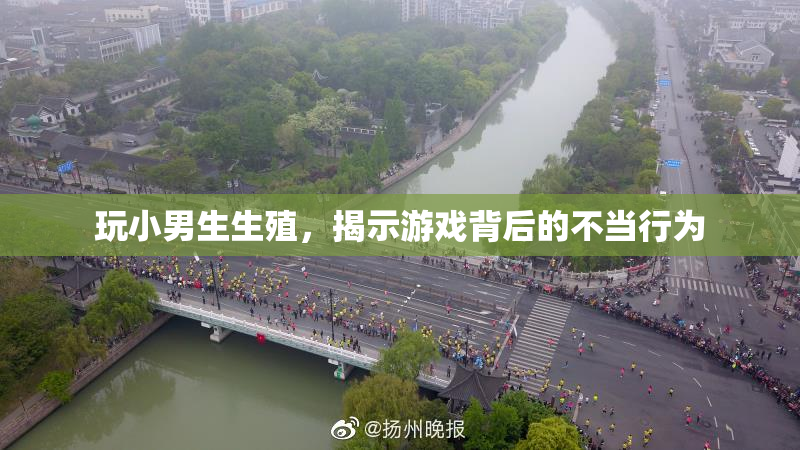 玩小男生生殖，揭示游戏背后的不当行为
