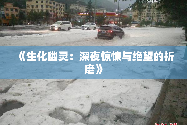 《生化幽灵：深夜惊悚与绝望的折磨》