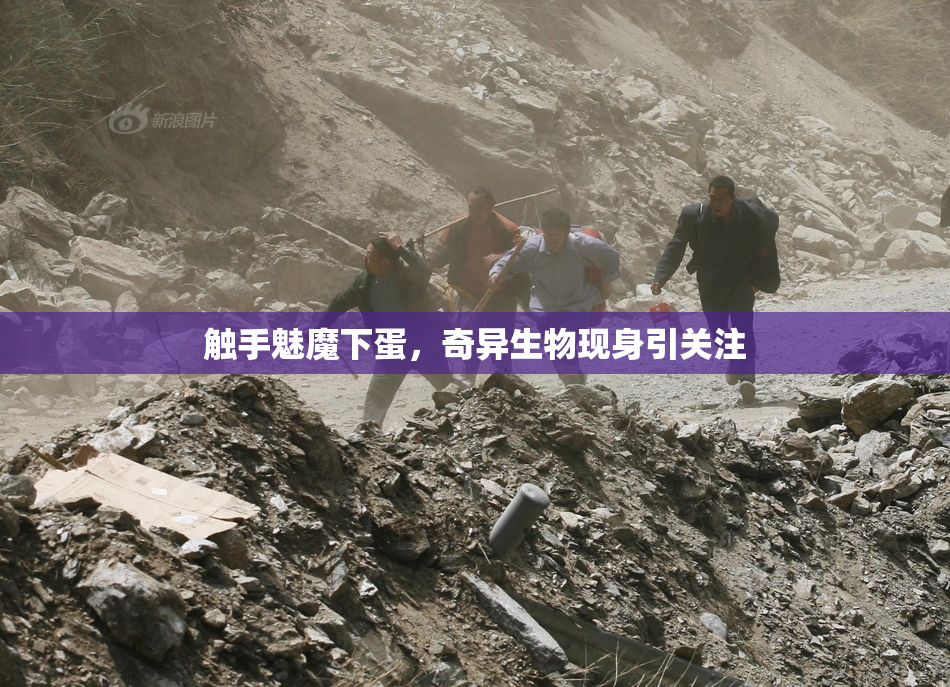 触手魅魔下蛋，奇异生物现身引关注