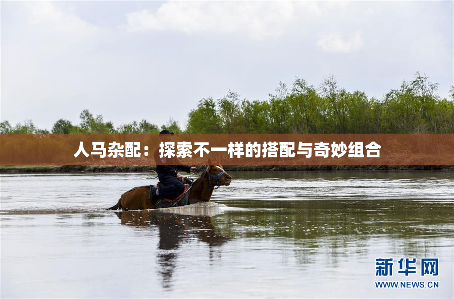 人马杂配：探索不一样的搭配与奇妙组合