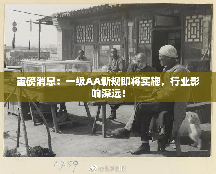 重磅消息：一级AA新规即将实施，行业影响深远！