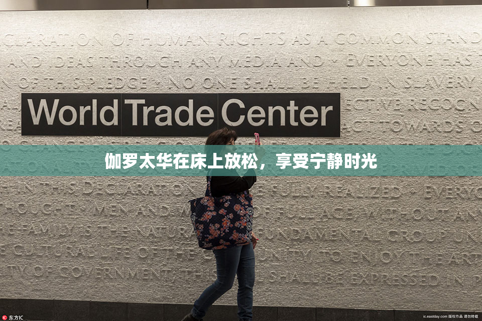 伽罗太华在床上放松，享受宁静时光