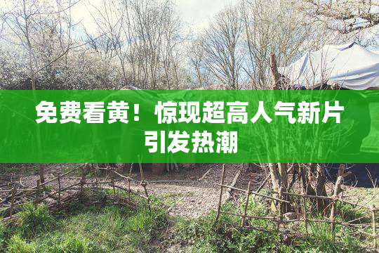 免费看黄！惊现超高人气新片引发热潮
