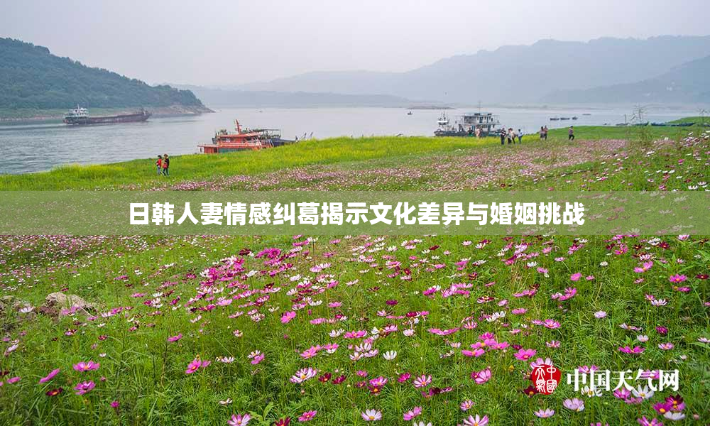 日韩人妻情感纠葛揭示文化差异与婚姻挑战