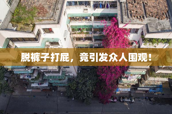 脱裤子打屁，竟引发众人围观！