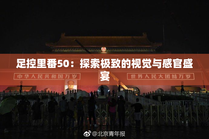 足控里番50：探索极致的视觉与感官盛宴