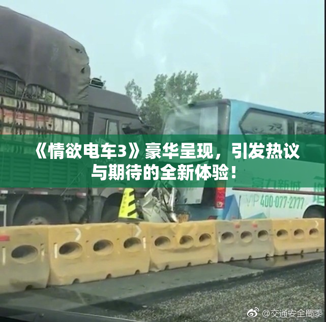 《情欲电车3》豪华呈现，引发热议与期待的全新体验！