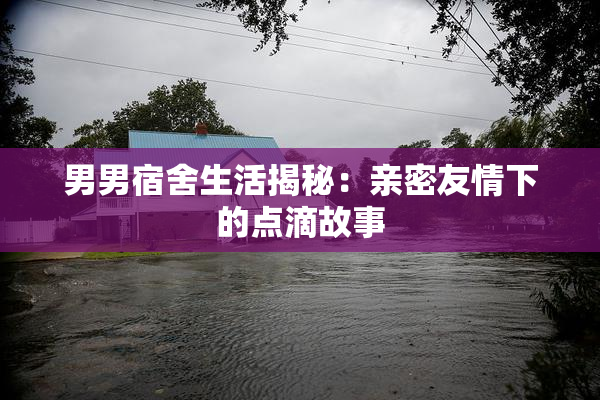 男男宿舍生活揭秘：亲密友情下的点滴故事