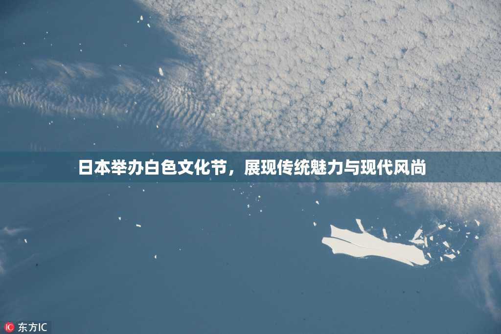 日本举办白色文化节，展现传统魅力与现代风尚