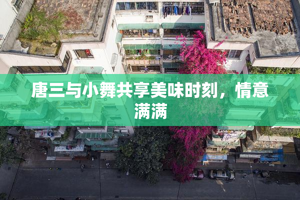 唐三与小舞共享美味时刻，情意满满
