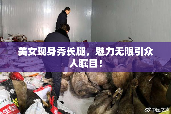 美女现身秀长腿，魅力无限引众人瞩目！